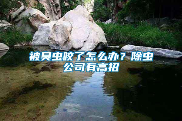 被臭蟲咬了怎么辦？除蟲公司有高招