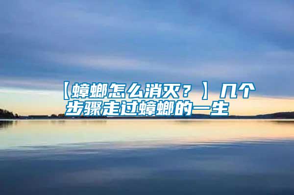【蟑螂怎么消滅？】幾個步驟走過蟑螂的一生