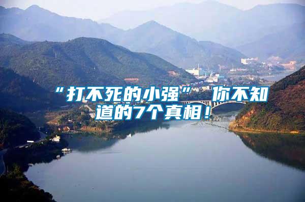 “打不死的小強” 你不知道的7個真相！