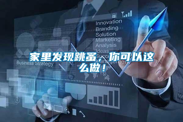 家里發現跳蚤，你可以這么做！