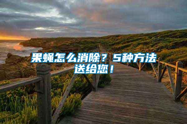 果蠅怎么消除？5種方法送給您！