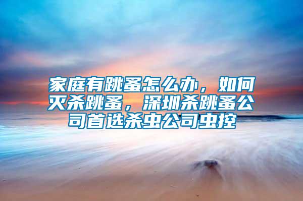 家庭有跳蚤怎么辦，如何滅殺跳蚤，深圳殺跳蚤公司首選殺蟲公司蟲控