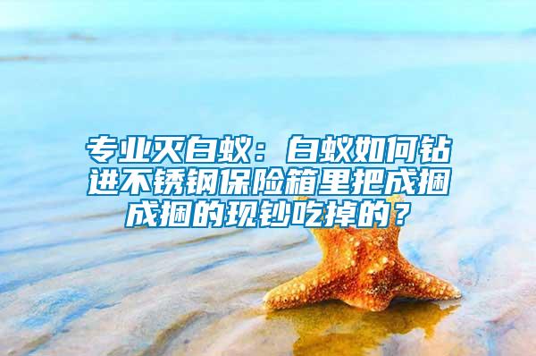 專業(yè)滅白蟻：白蟻如何鉆進(jìn)不銹鋼保險(xiǎn)箱里把成捆成捆的現(xiàn)鈔吃掉的？