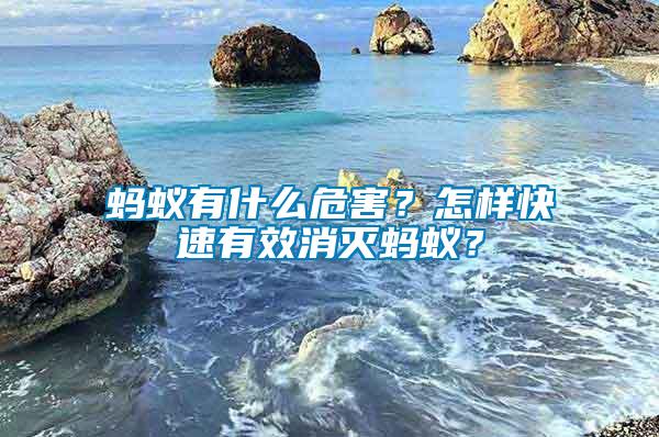 螞蟻有什么危害？怎樣快速有效消滅螞蟻？