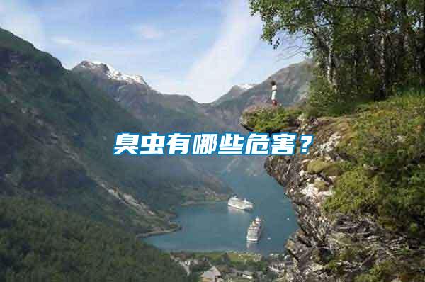 臭蟲有哪些危害？
