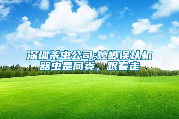 深圳殺蟲公司;蟑螂誤認機器蟲是同類，跟著走
