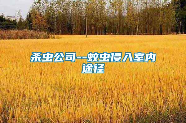 殺蟲公司--蚊蟲侵入室內途徑