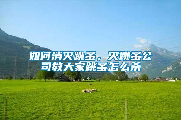 如何消滅跳蚤，滅跳蚤公司教大家跳蚤怎么殺