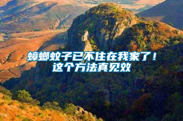 蟑螂蚊子已不住在我家了！這個方法真見效