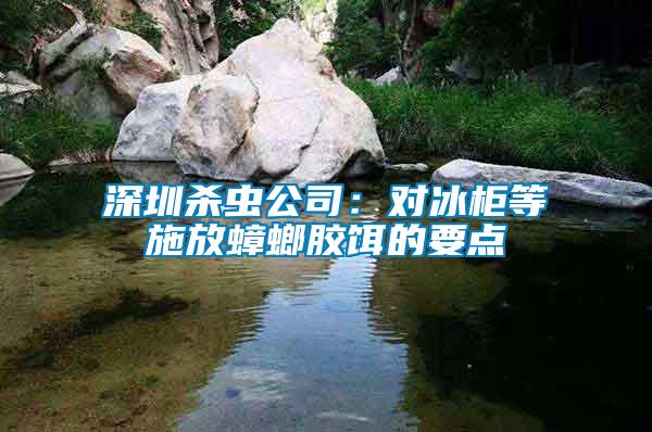 深圳殺蟲公司：對(duì)冰柜等施放蟑螂膠餌的要點(diǎn)