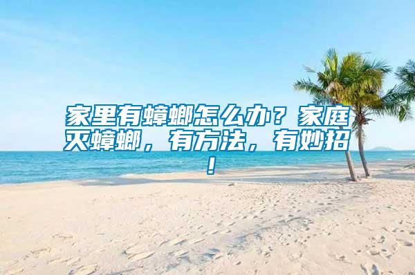 家里有蟑螂怎么辦？家庭滅蟑螂，有方法，有妙招！