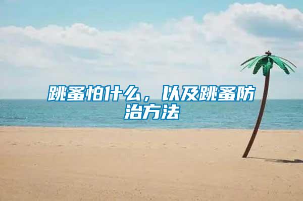 跳蚤怕什么，以及跳蚤防治方法