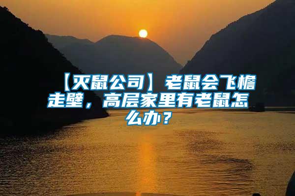 【滅鼠公司】老鼠會飛檐走壁，高層家里有老鼠怎么辦？