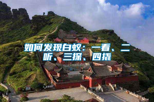 如何發現白蟻：一看、二聽、三探、四撬