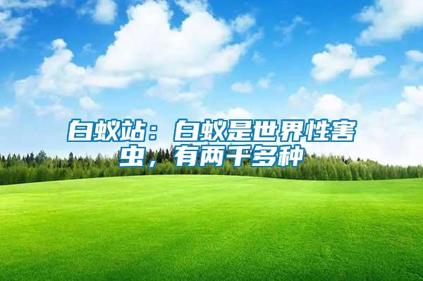 白蟻站：白蟻是世界性害蟲，有兩千多種