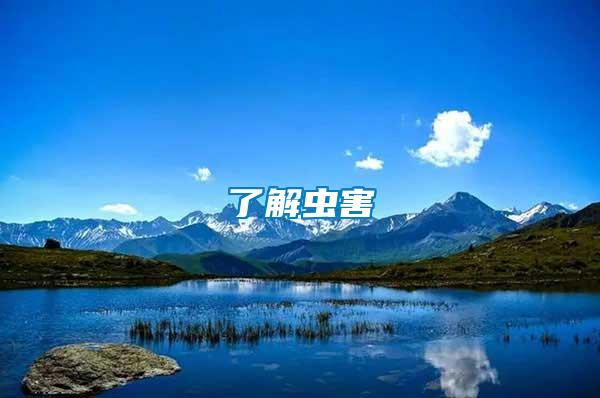 了解蟲(chóng)害