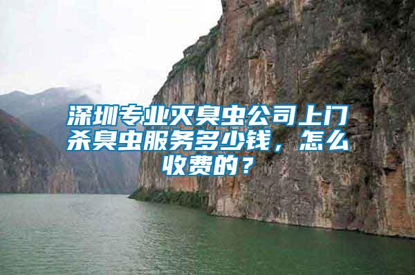 深圳專業滅臭蟲公司上門殺臭蟲服務多少錢，怎么收費的？