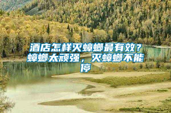 酒店怎樣滅蟑螂最有效？蟑螂太頑強(qiáng)，滅蟑螂不能停