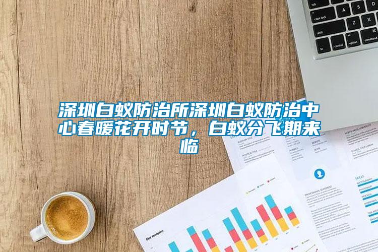深圳白蟻防治所深圳白蟻防治中心春暖花開(kāi)時(shí)節(jié)，白蟻分飛期來(lái)臨