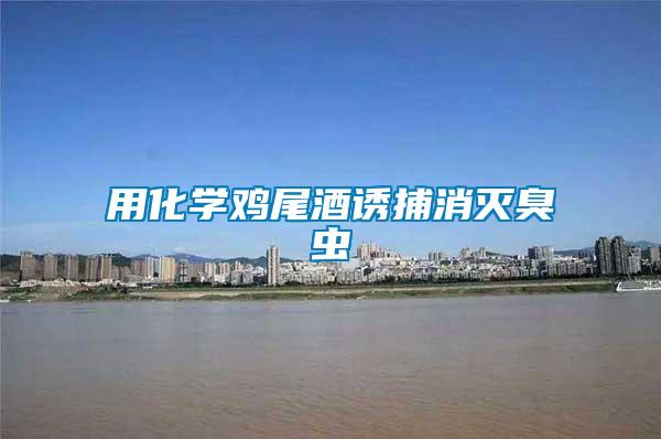 用化學(xué)雞尾酒誘捕消滅臭蟲(chóng)