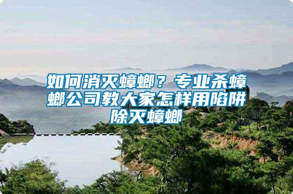 如何消滅蟑螂？專業(yè)殺蟑螂公司教大家怎樣用陷阱除滅蟑螂