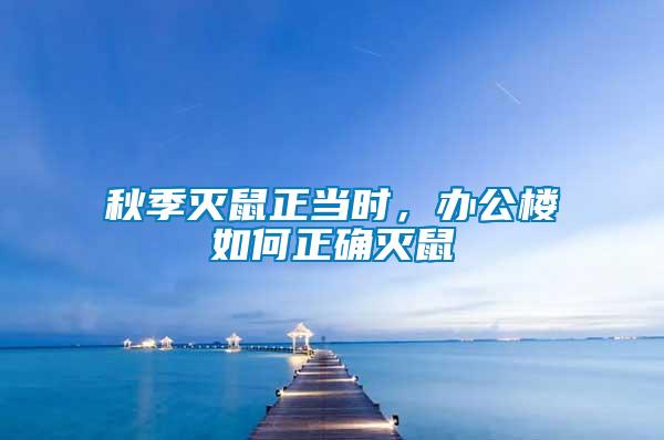 秋季滅鼠正當時，辦公樓如何正確滅鼠