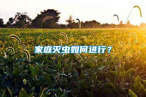家庭滅蟲如何進行？