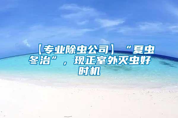 【專業除蟲公司】“夏蟲冬治”，現正室外滅蟲好時機