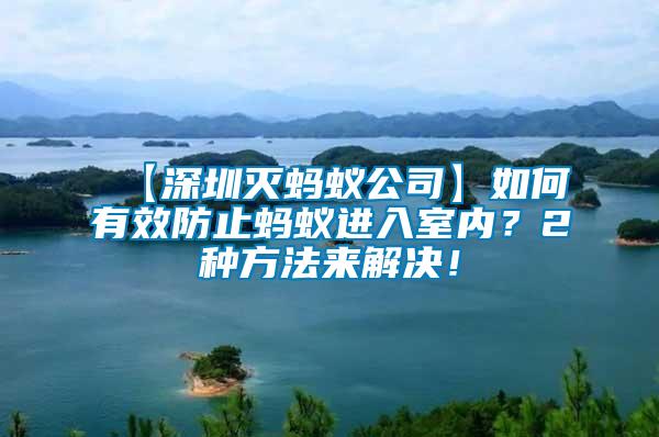 【深圳滅螞蟻公司】如何有效防止螞蟻進入室內？2種方法來解決！