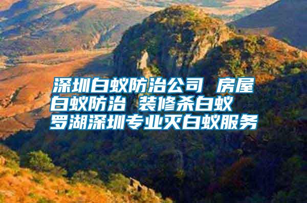 深圳白蟻防治公司 房屋白蟻防治 裝修殺白蟻  羅湖深圳專業滅白蟻服務