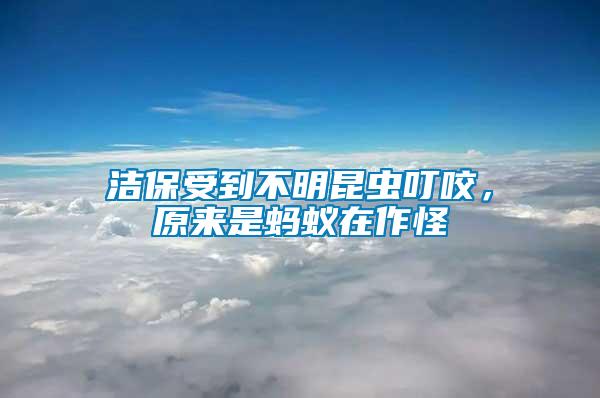 潔保受到不明昆蟲叮咬，原來是螞蟻在作怪