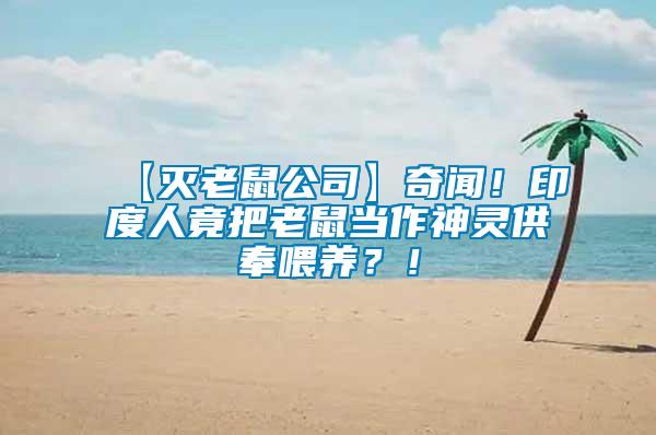 【滅老鼠公司】奇聞！印度人竟把老鼠當作神靈供奉喂養？！