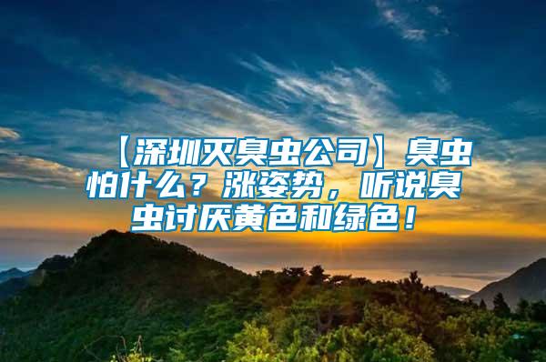 【深圳滅臭蟲公司】臭蟲怕什么？漲姿勢(shì)，聽說(shuō)臭蟲討厭黃色和綠色！