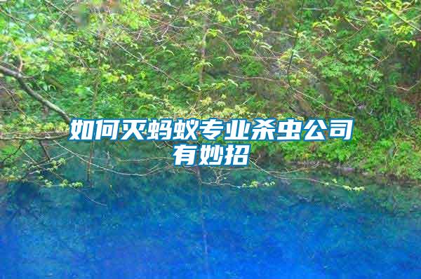 如何滅螞蟻專業殺蟲公司有妙招