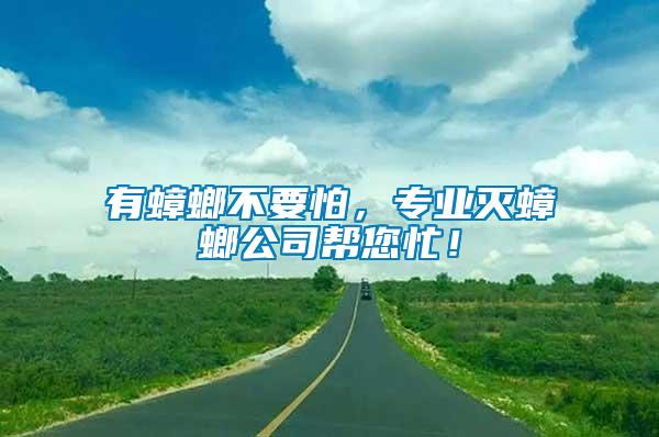 有蟑螂不要怕，專業滅蟑螂公司幫您忙！