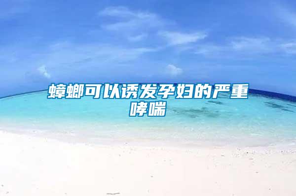 蟑螂可以誘發孕婦的嚴重哮喘