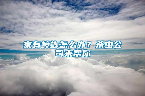 家有蟑螂怎么辦？殺蟲公司來幫你
