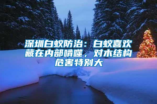 深圳白蟻防治：白蟻喜歡藏在內部啃噬，對木結構危害特別大
