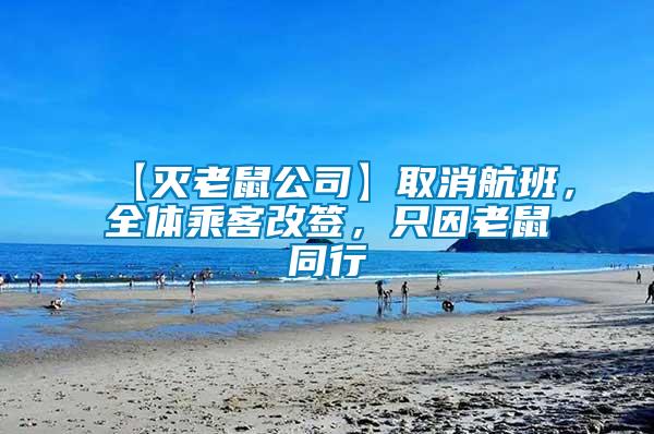 【滅老鼠公司】取消航班，全體乘客改簽，只因老鼠同行