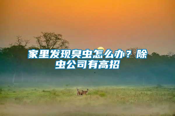 家里發(fā)現(xiàn)臭蟲怎么辦？除蟲公司有高招