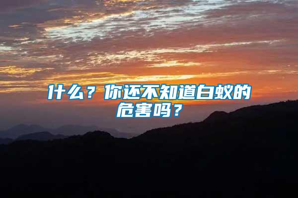 什么？你還不知道白蟻的危害嗎？