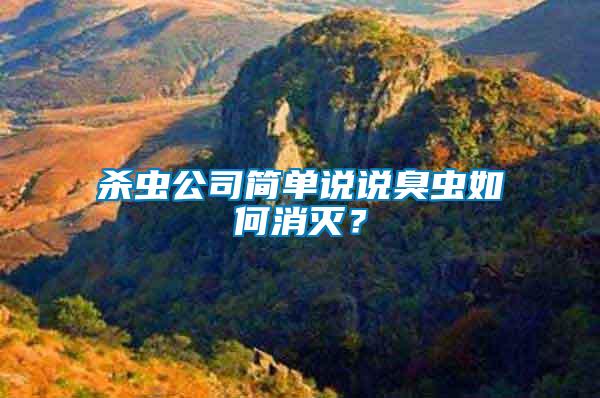殺蟲公司簡單說說臭蟲如何消滅？