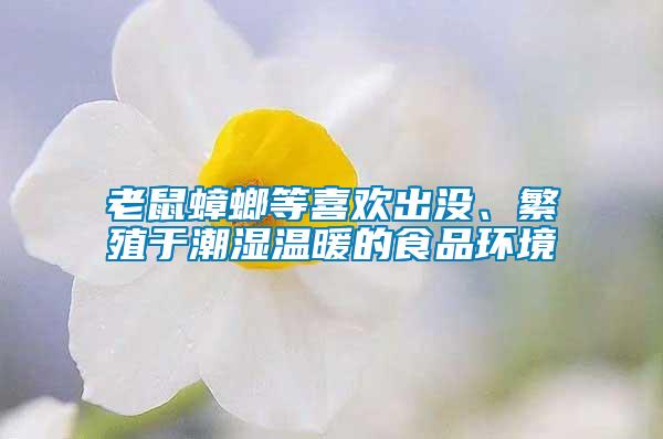 老鼠蟑螂等喜歡出沒、繁殖于潮濕溫暖的食品環境