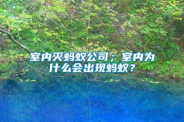 室內滅螞蟻公司；室內為什么會出現螞蟻？