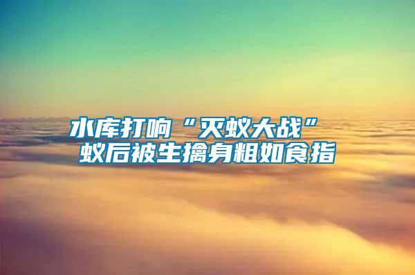 水庫(kù)打響“滅蟻大戰(zhàn)” 蟻后被生擒身粗如食指