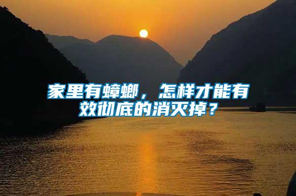 家里有蟑螂，怎樣才能有效徹底的消滅掉？