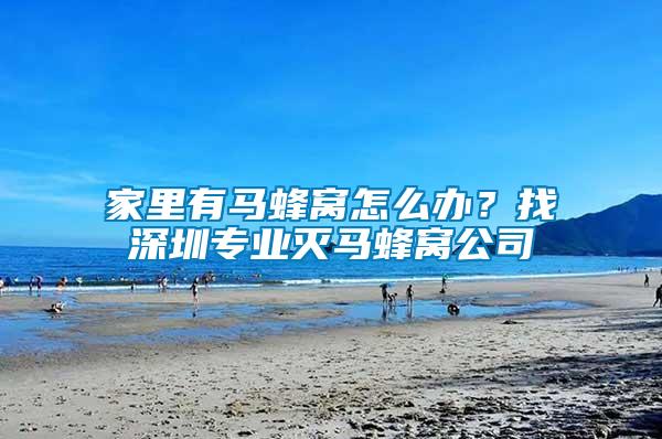 家里有馬蜂窩怎么辦？找深圳專業滅馬蜂窩公司