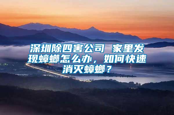 深圳除四害公司 家里發現蟑螂怎么辦，如何快速消滅蟑螂？