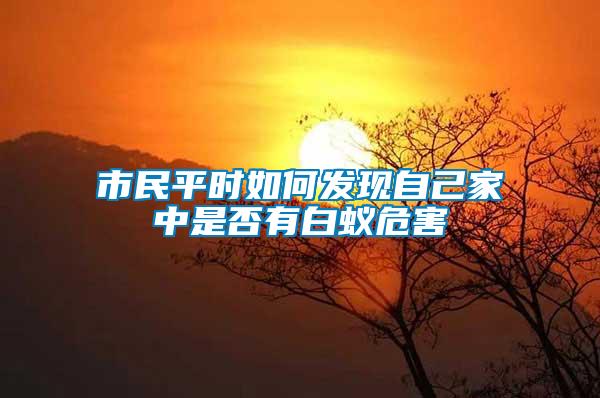 市民平時如何發現自己家中是否有白蟻危害