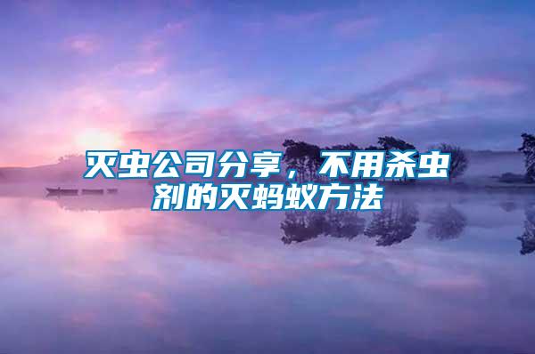 滅蟲公司分享，不用殺蟲劑的滅螞蟻方法